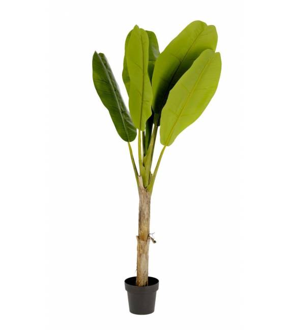 Dirbtinė gėlė BAA