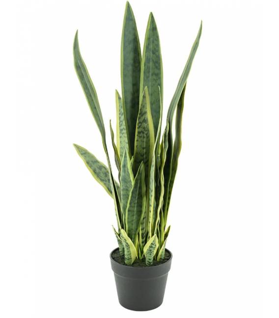 Dirbtinė gėlė SANSEVIERIA
