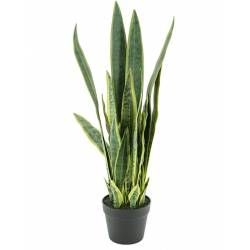 Dirbtinė gėlė SANSEVIERIA