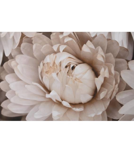 Paveikslas FLOWER BOUQUET-A 83x123 pilkas