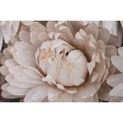 Paveikslas FLOWER BOUQUET-A 83x123 pilkas