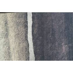 Paveikslas ABSTRACT WALL 84x124 rudas