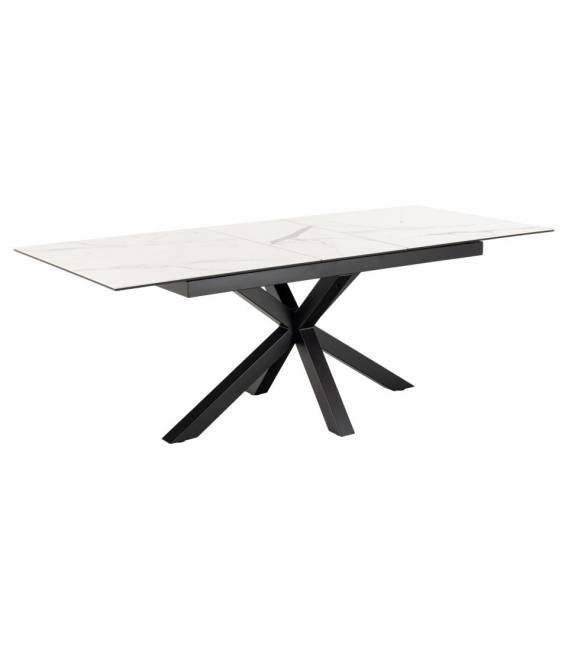 Stalas 22885 168(210)x90 baltas su pilku