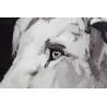 Paveikslas LION GLANCE-B 80x120 pilkas