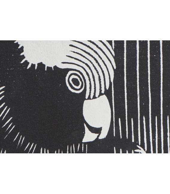 Paveikslas COCKATOO BLACK 83x123 juodas