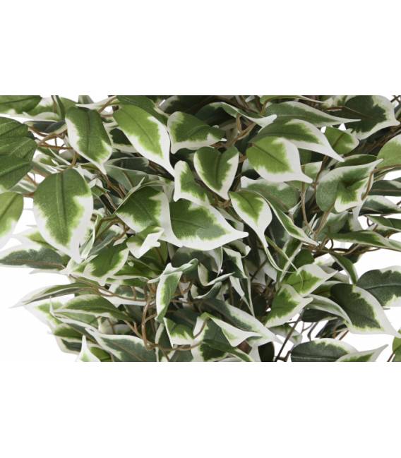 Dirbtinis augalas FICUS
