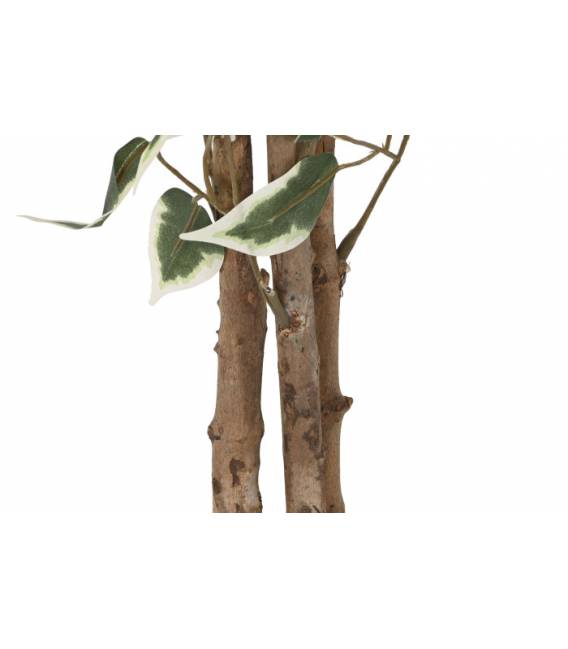 Dirbtinis augalas FICUS