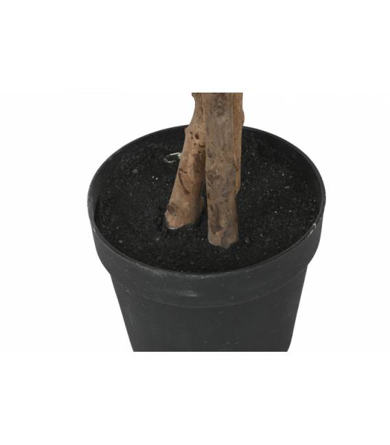 Dirbtinis augalas FICUS