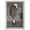 Paveikslas COCKATOO BLACK 83x123 juodas