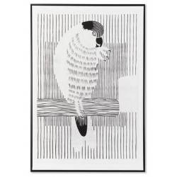 Paveikslas COCKATOO WHITE 83x123 baltas