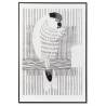 Paveikslas COCKATOO WHITE 83x123 baltas