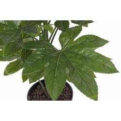 Dirbtinis augalas FATSIA JAPONICA