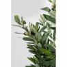 Dirbtinis augalas OLIVE