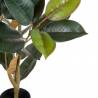 Dirbtinis augalas FICUS