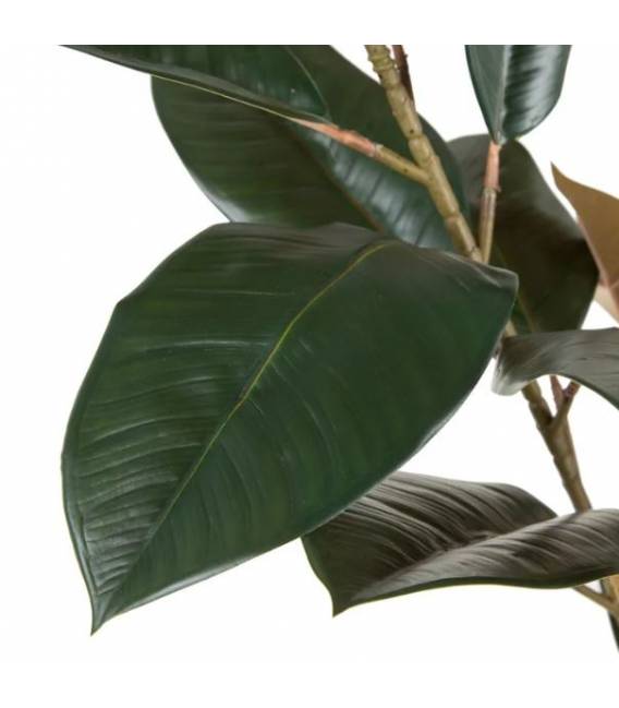 Dirbtinis augalas FICUS