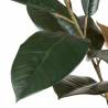 Dirbtinis augalas FICUS 49x125 žalias