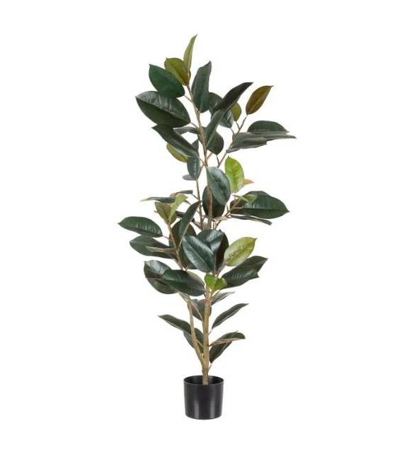 Dirbtinis augalas FICUS