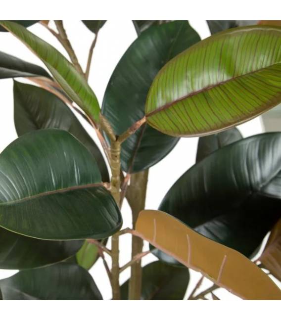 Dirbtinis augalas FICUS
