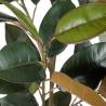 Dirbtinis augalas FICUS