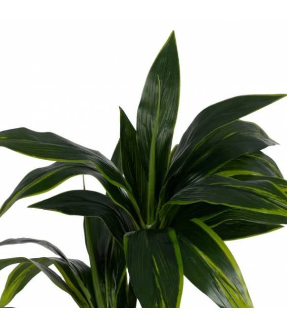 Dirbtinis augalas DRACAENA