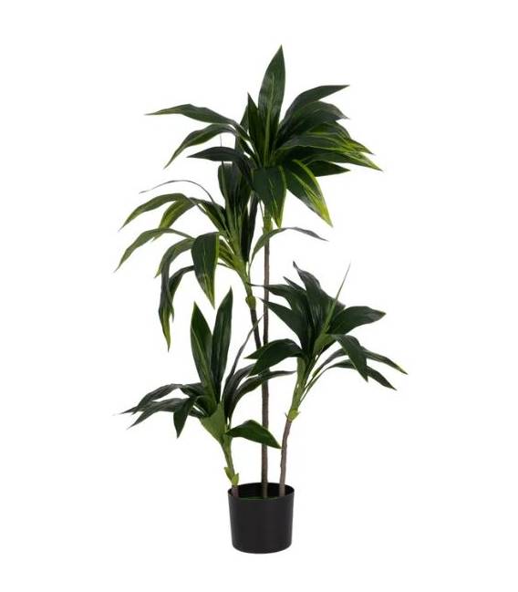 Dirbtinis augalas DRACAENA