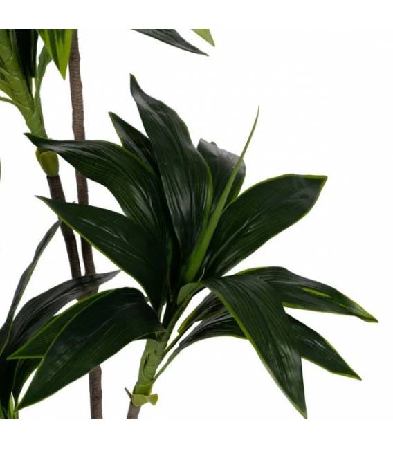 Dirbtinis augalas DRACAENA
