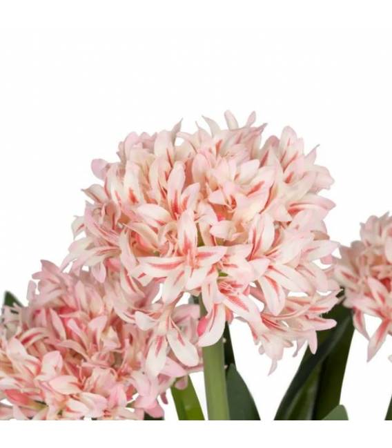 Dirbtinis augalas HYACINTH