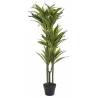 Dirbtinis augalas DRACAENA