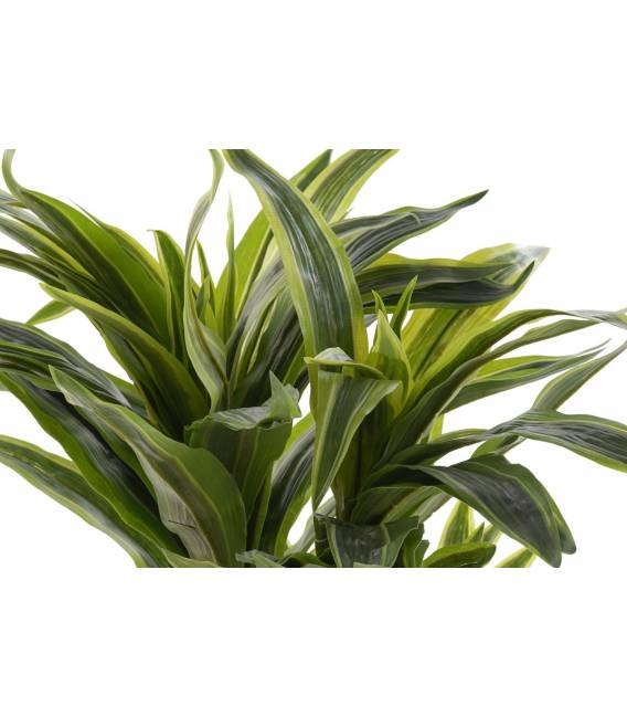 Dirbtinis augalas DRACAENA