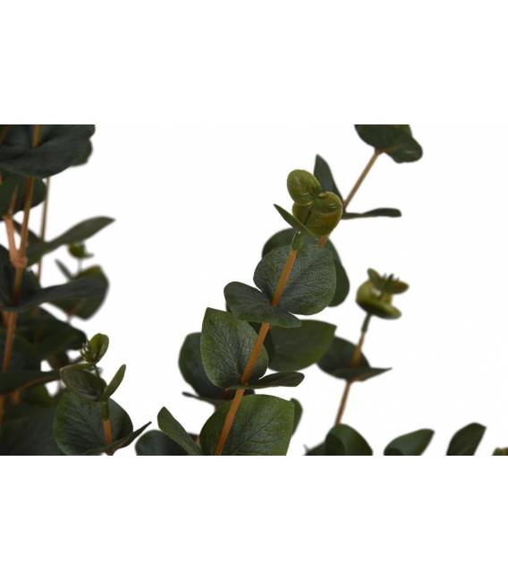 Dirbtinis augalas EUCALYPTUS TREE