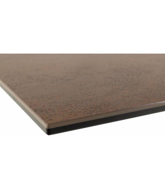 Stalas 22569 200x100 rudas