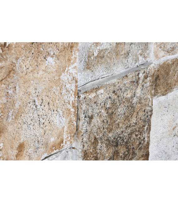 Paveikslas DORADO 102x152 margas
