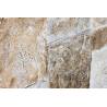 Paveikslas DORADO 102x152 margas