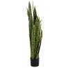 Dirbtinis augalas DRACAENA