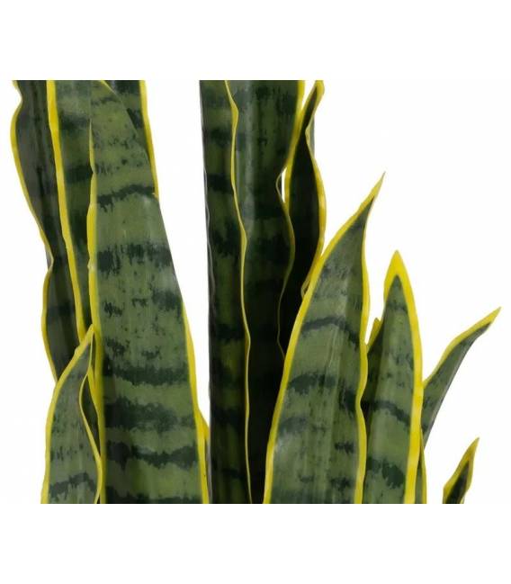 Dirbtinis augalas DRACAENA