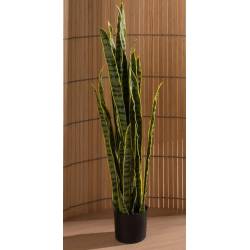 Dirbtinis augalas DRACAENA