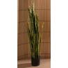 Dirbtinis augalas DRACAENA