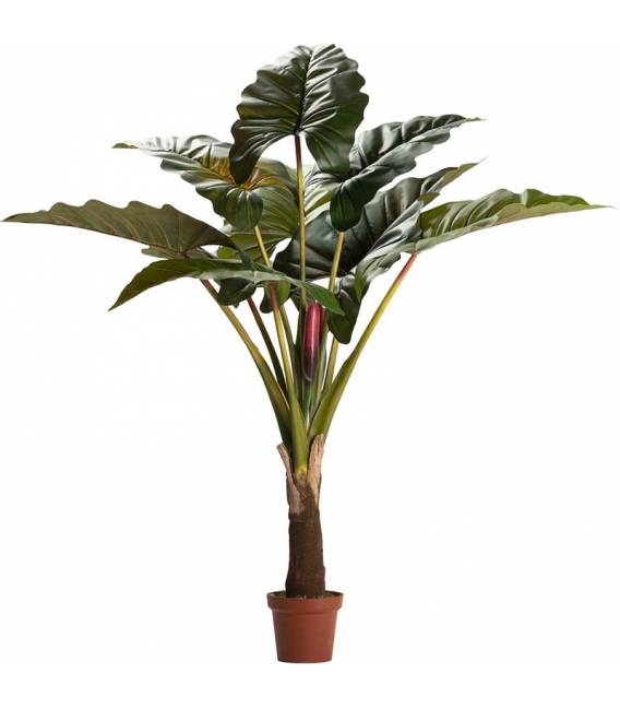 Dirbtinė gėlė COLOCASIA ESCULENTA žalia