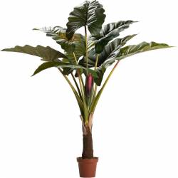 Dirbtinė gėlė COLOCASIA ESCULENTA žalia