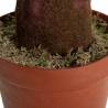 Dirbtinė gėlė COLOCASIA ESCULENTA žalia