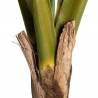 Dirbtinė gėlė COLOCASIA ESCULENTA žalia
