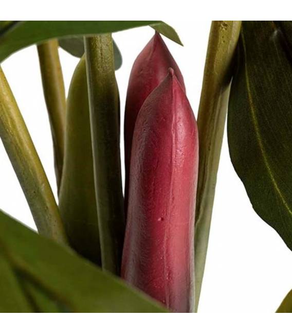 Dirbtinė gėlė COLOCASIA ESCULENTA žalia