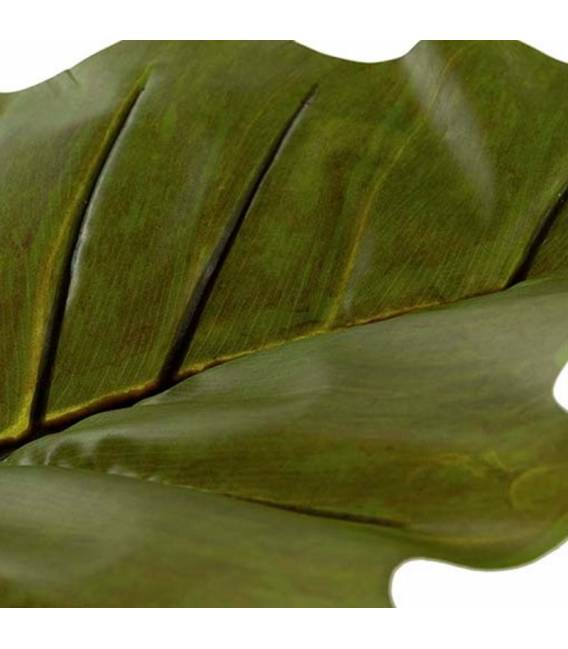 Dirbtinė gėlė COLOCASIA ESCULENTA žalia