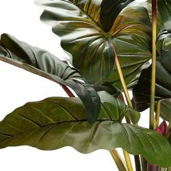 Dirbtinė gėlė COLOCASIA ESCULENTA žalia