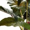 Dirbtinė gėlė COLOCASIA ESCULENTA žalia