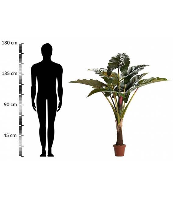 Dirbtinė gėlė COLOCASIA ESCULENTA žalia