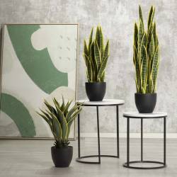 Dirbtinė gėlė AGAVE žalia