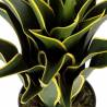 Dirbtinė gėlė AGAVE žalia