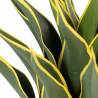 Dirbtinė gėlė AGAVE žalia