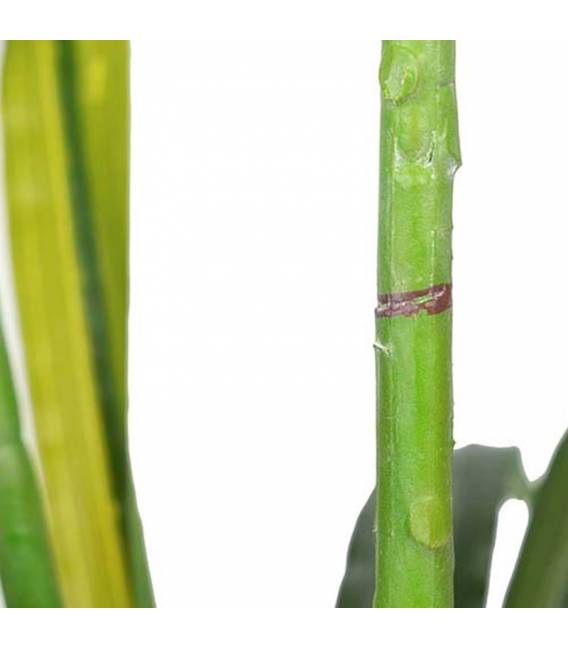 Dirbtinė gėlė ORCHIDĖJA balta